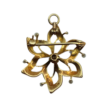 Load image into Gallery viewer, Antique Seed Pearl Gold Pendant & Brooch