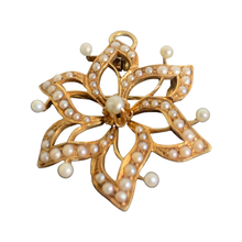 Load image into Gallery viewer, Antique Seed Pearl Gold Pendant & Brooch