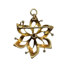 Load image into Gallery viewer, Antique Seed Pearl Gold Pendant &amp; Brooch
